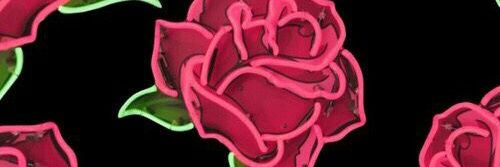 _StefM28's profile banner image
