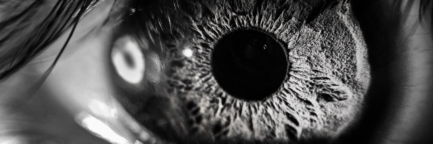 Catarsis2024's profile banner image