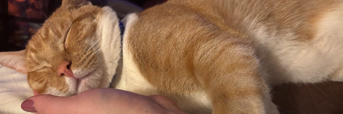 Kelsey Leigh ❤️ banner