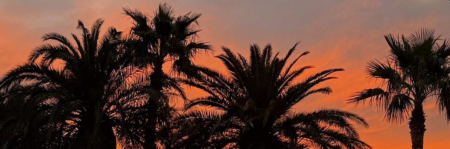 xneeks's profile banner image