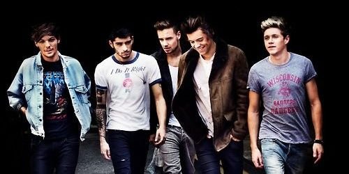 SraDirectioner's profile banner image