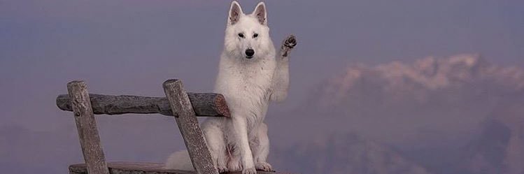 DjangoR92's profile banner image