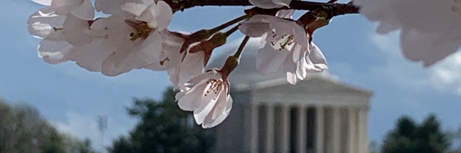 josh_ratner's profile banner image