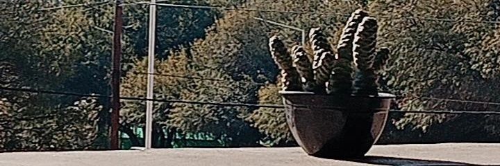gabisacos's profile banner image