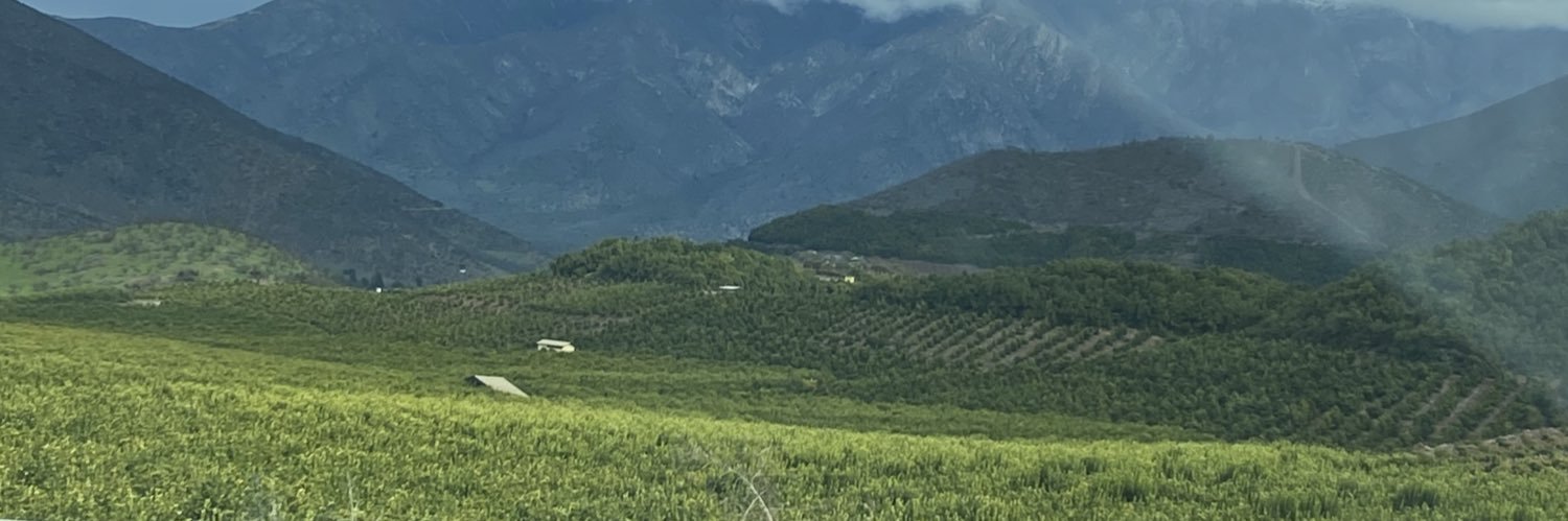 PazFernandez21's profile banner image