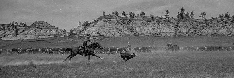 CowboyRoy05's profile banner image