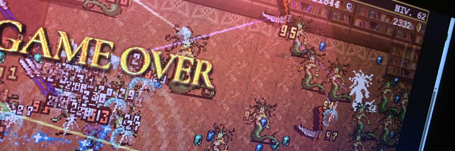 Xavier Bertschy banner