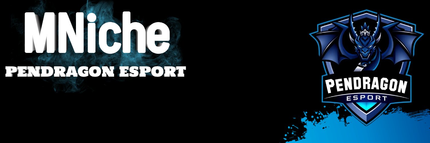 MNiche 6969 banner