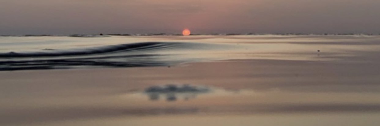 Hanan_2296's profile banner image