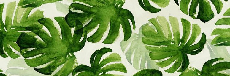 FowlerSidney's profile banner image