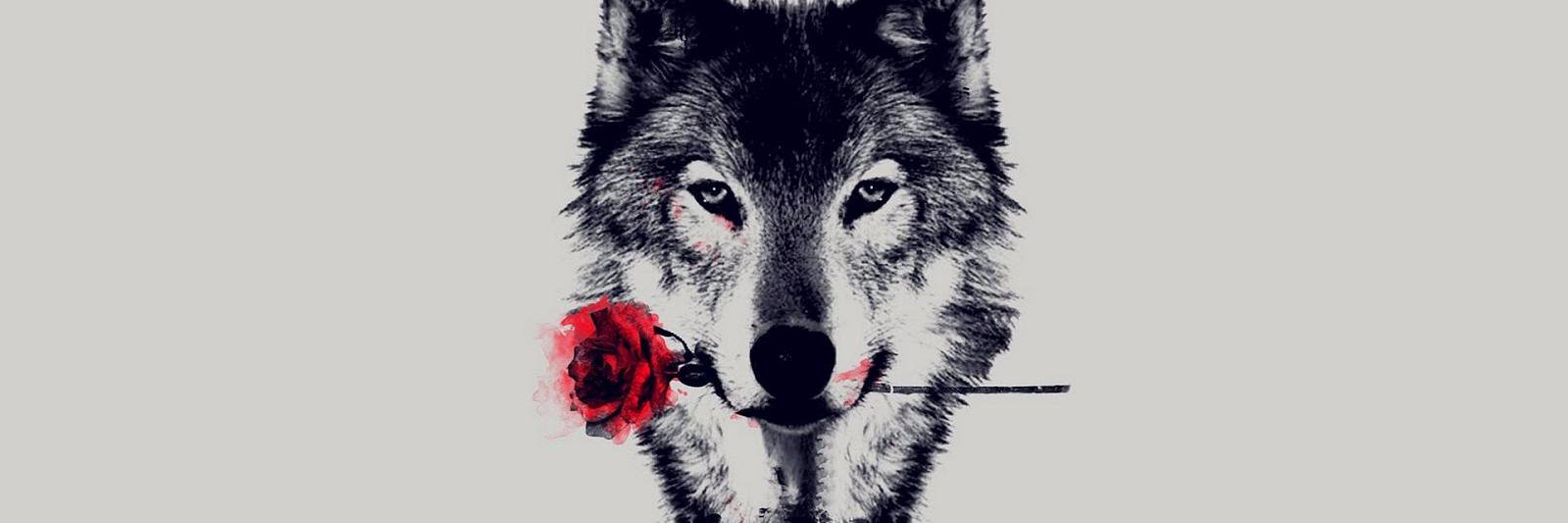 valuesethokben's profile banner image