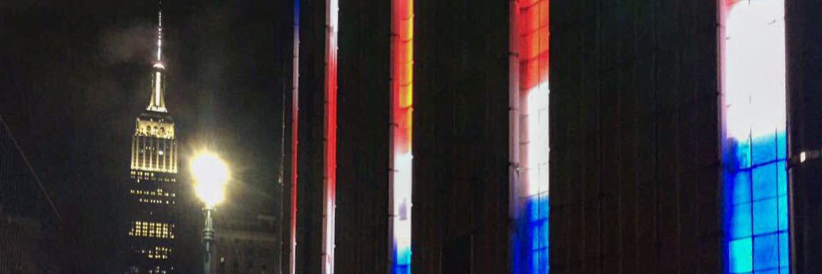 stef banner