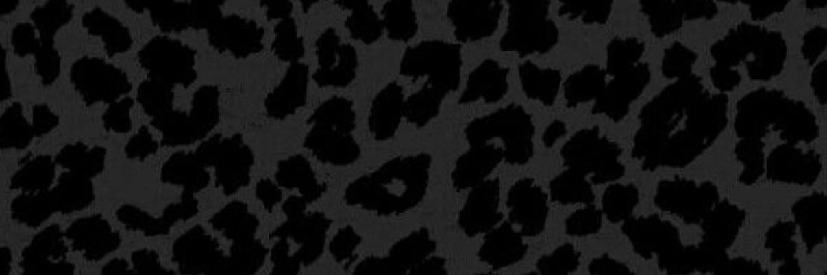 AshlynJane__'s profile banner image