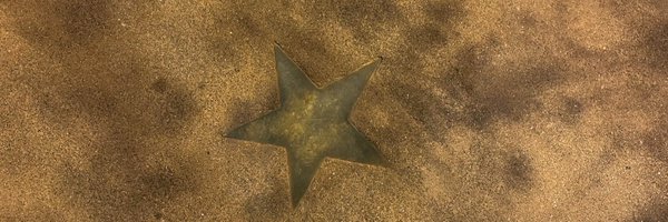 VacaChantal Profile Banner