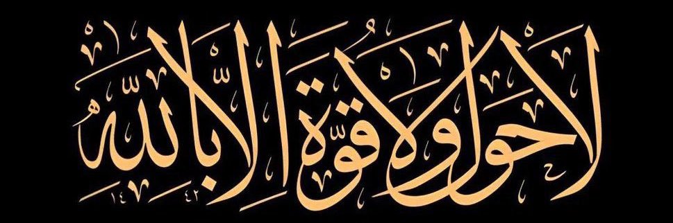F.s. Alhabashi banner