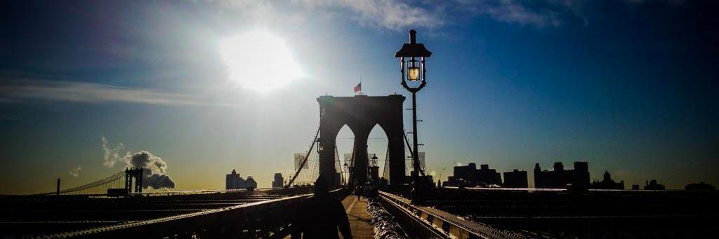 Max Pellegrini banner