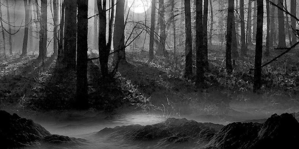 capibaracy's profile banner image
