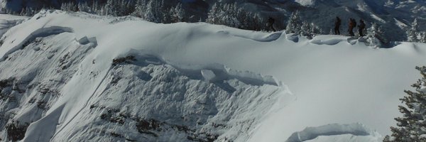 friendsofCAIC Profile Banner