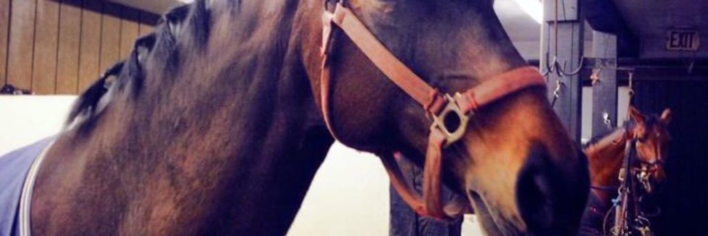 karmonan's profile banner image