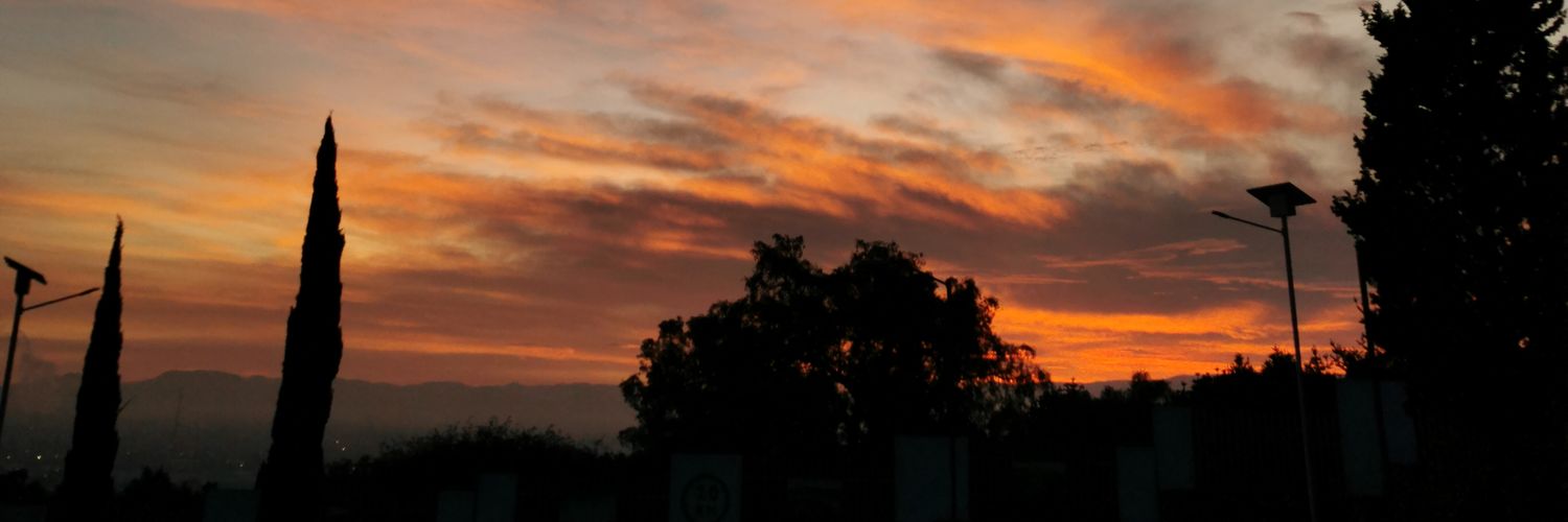 Mauricio Aguilar banner