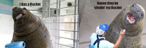 GoAwayStupidAI Profile Banner