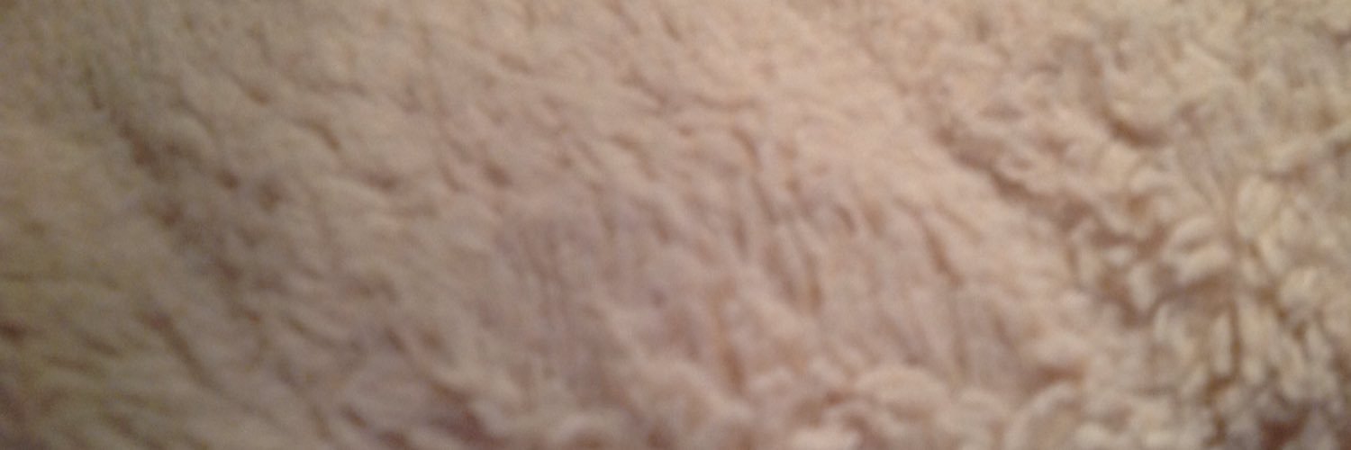 HShrubsole's profile banner image