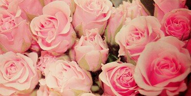 __xotesiaa's profile banner image