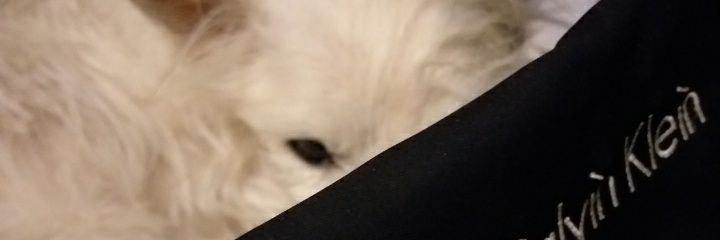 KarelyLopez23's profile banner image