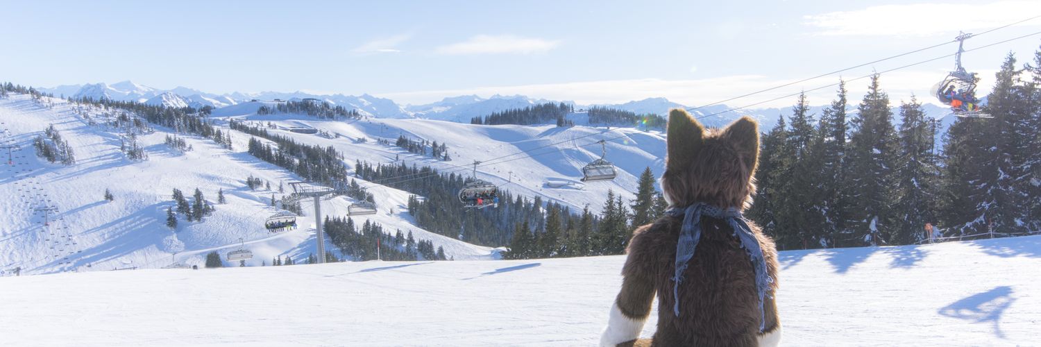 KibaPaw's profile banner image