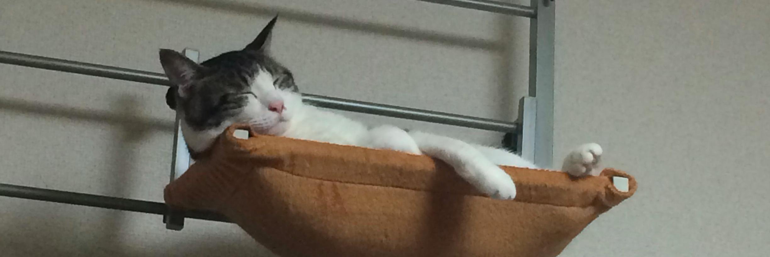 applesniper's profile banner image