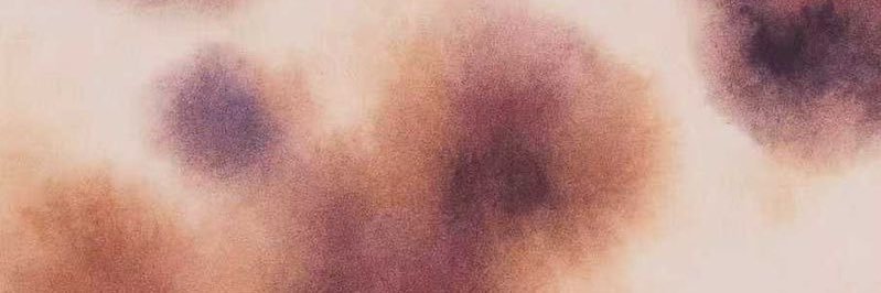 giuliarevalos's profile banner image