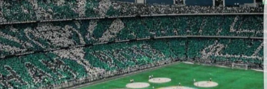 6057774's profile banner image