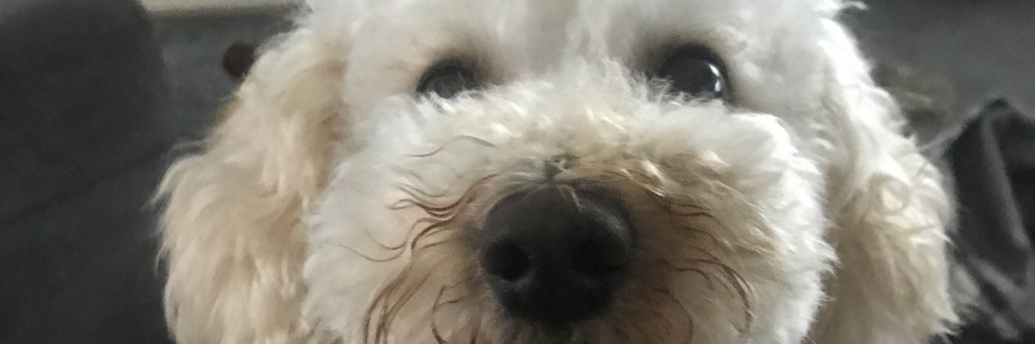 bart4085's profile banner image