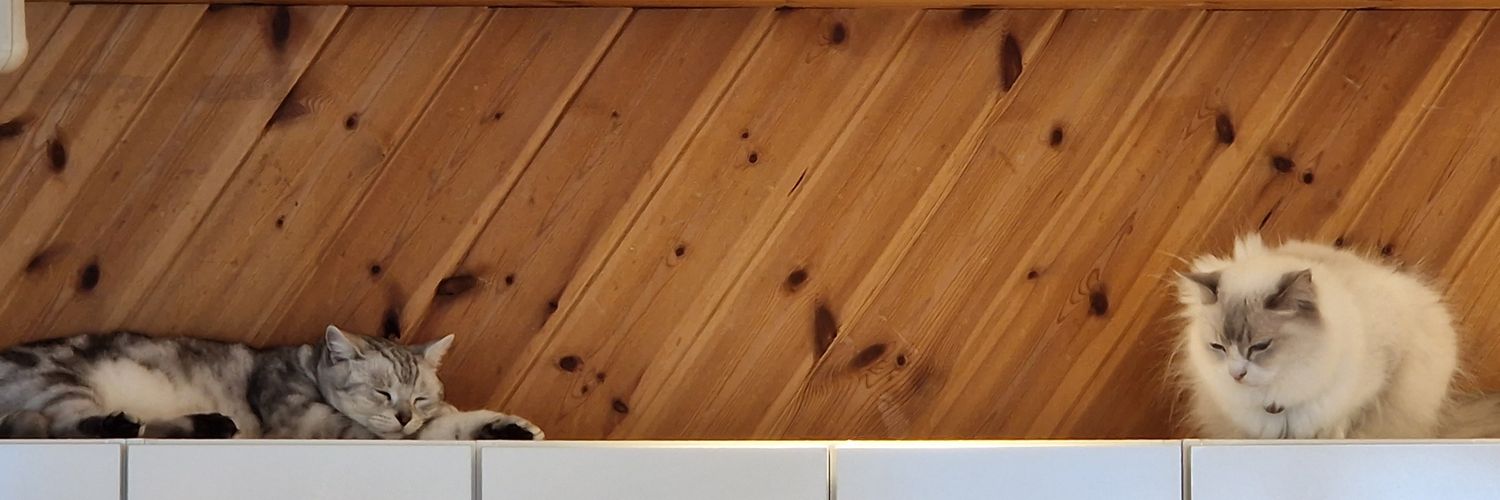 Cigge69's profile banner image
