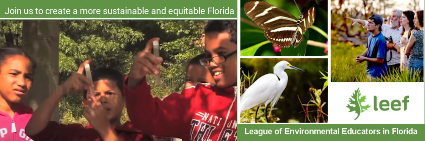LEEF_Florida's profile banner image
