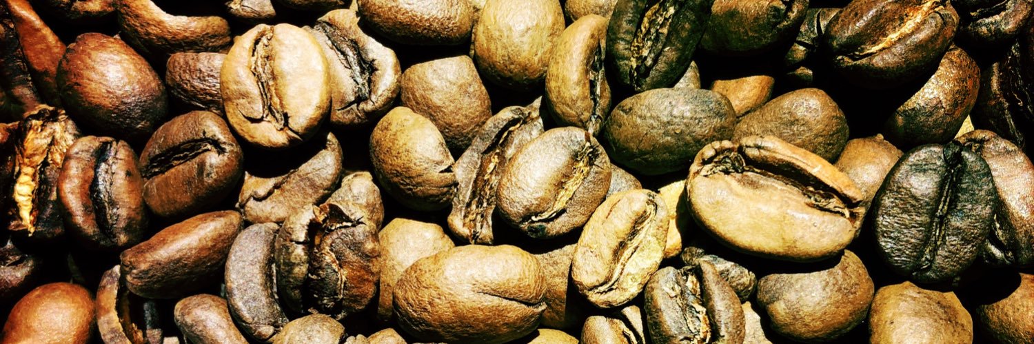 Steve Zimmerman banner