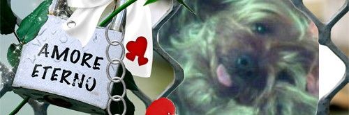 simonettaGelmin's profile banner image