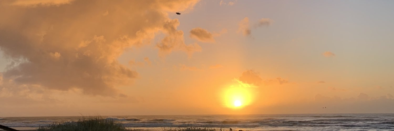 GiuseppePadilha's profile banner image