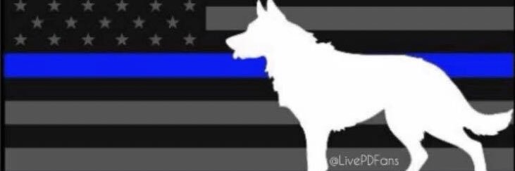 sha911sha's profile banner image