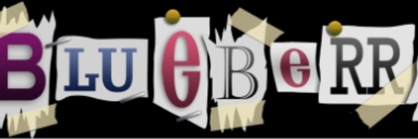 TheBlueberryNR's profile banner image