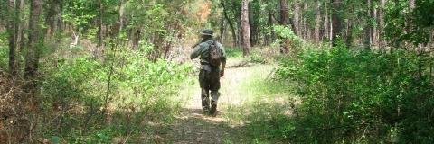 Texas Cryptid Hunter banner