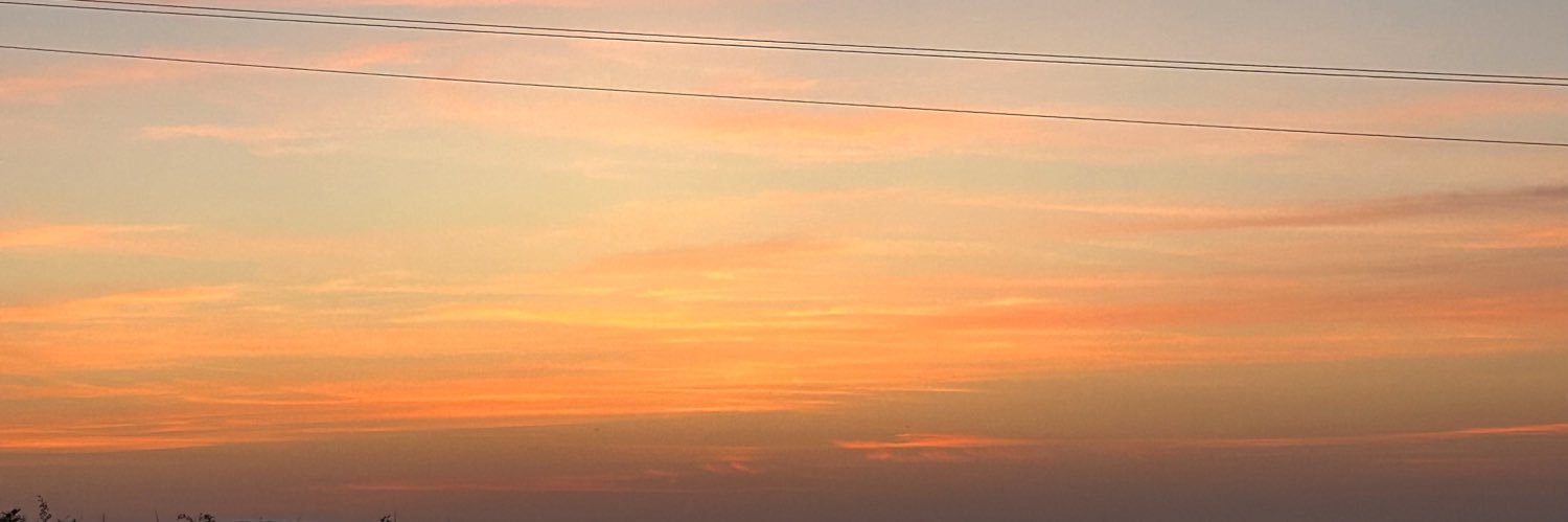 _noeliaferrer__'s profile banner image