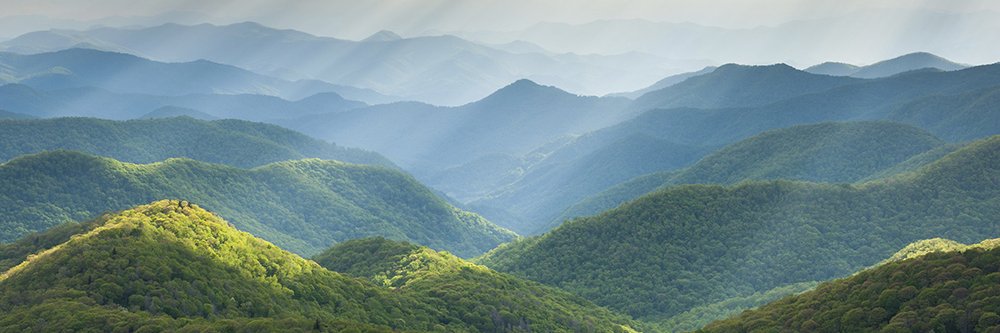 Keith Phillips banner