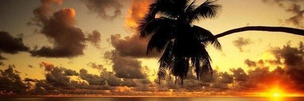 soleille28's profile banner image