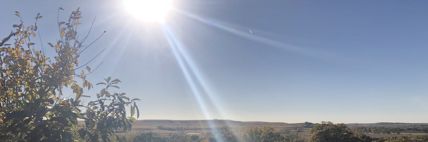 Maxine 🦋 banner