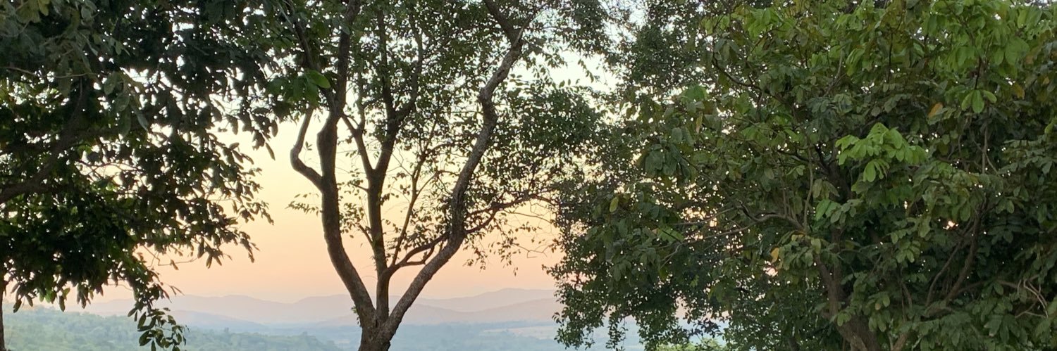 ferinboy's profile banner image