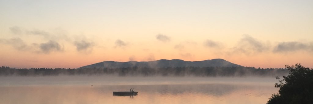 wmlavey's profile banner image