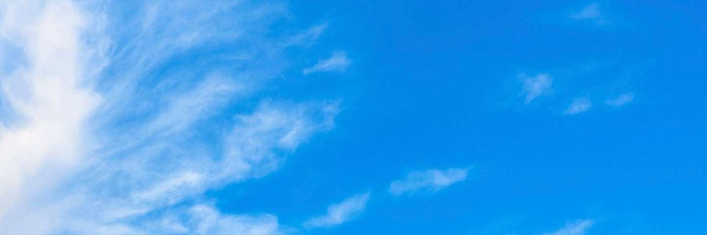 SilviaM00's profile banner image