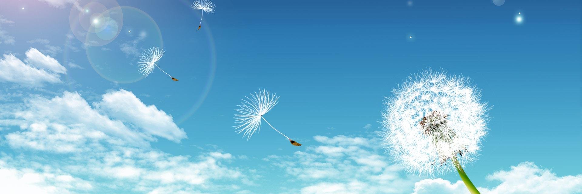 StarkjennyStark's profile banner image
