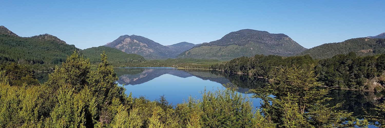 Facundo Tripodi banner